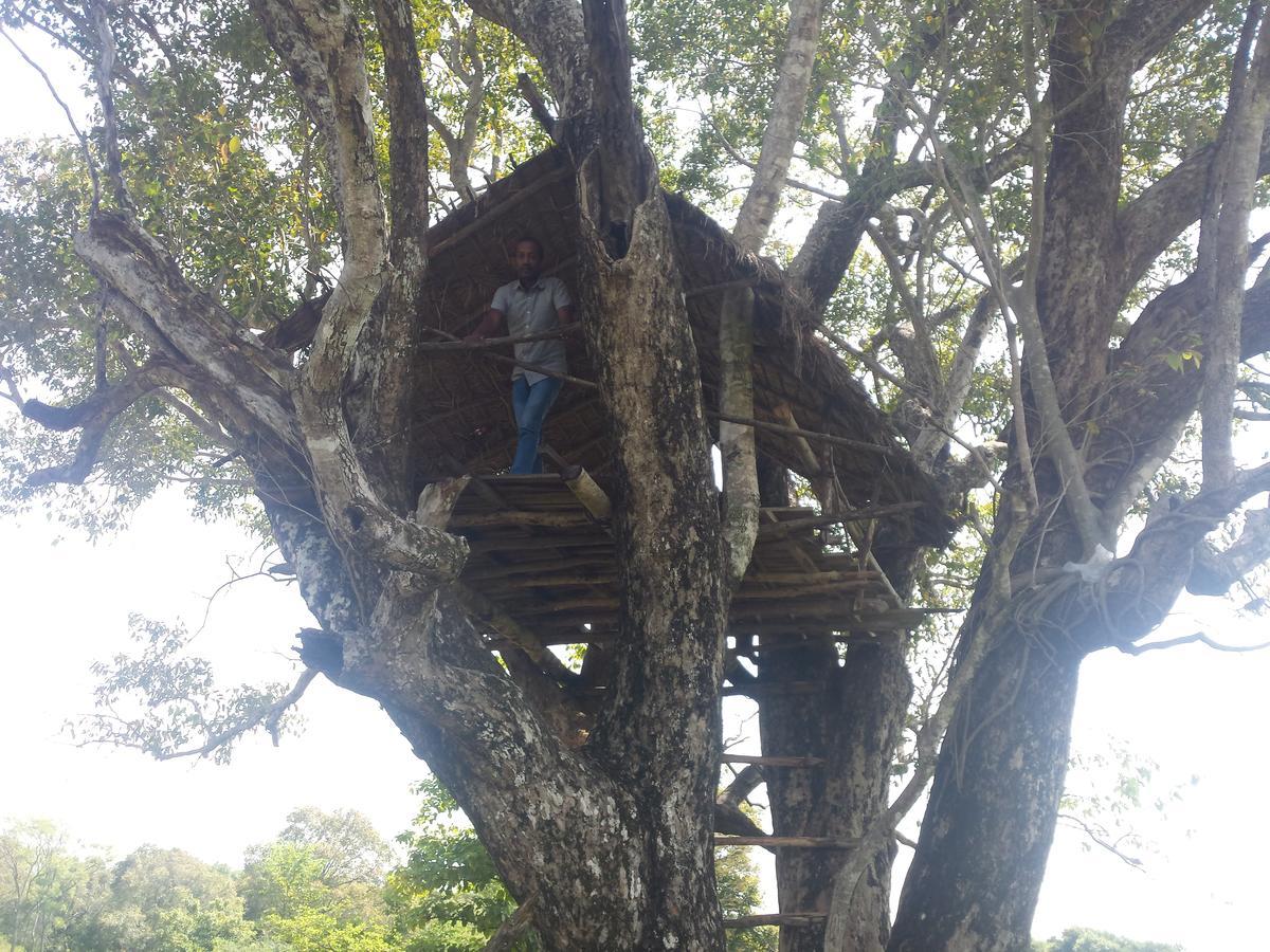 Greenwood Udawalawa Safari Resort Udawalawe Buitenkant foto