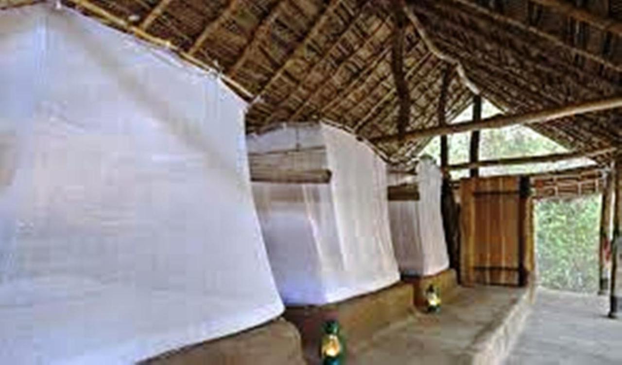 Greenwood Udawalawa Safari Resort Udawalawe Buitenkant foto