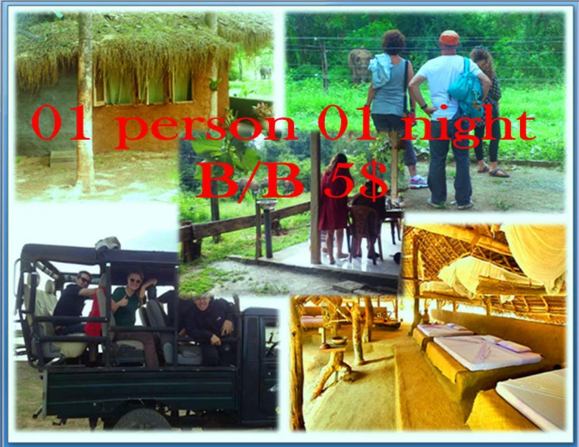 Greenwood Udawalawa Safari Resort Udawalawe Buitenkant foto
